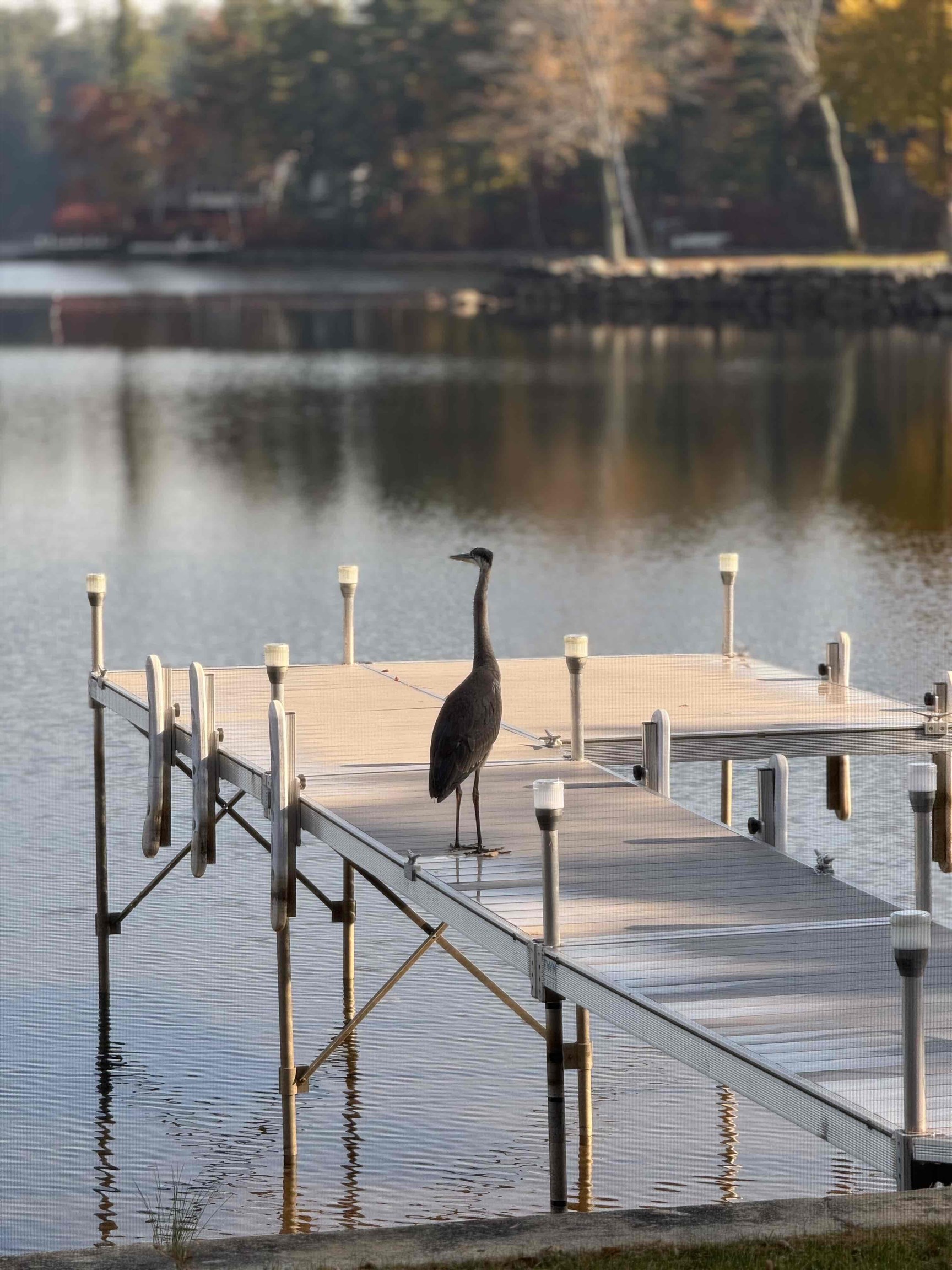 917 Whitney's Grove Road