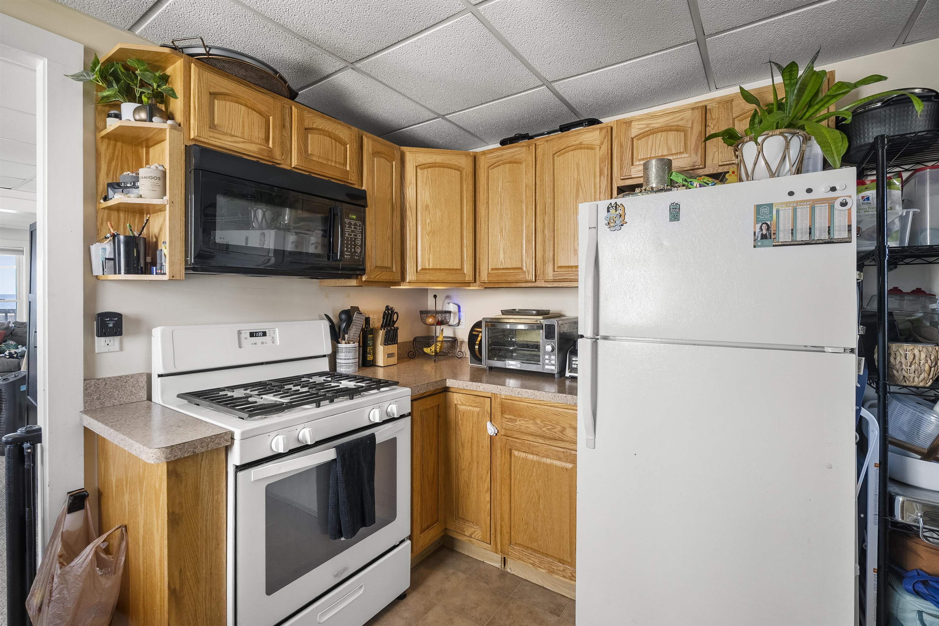 585 Ocean Boulevard