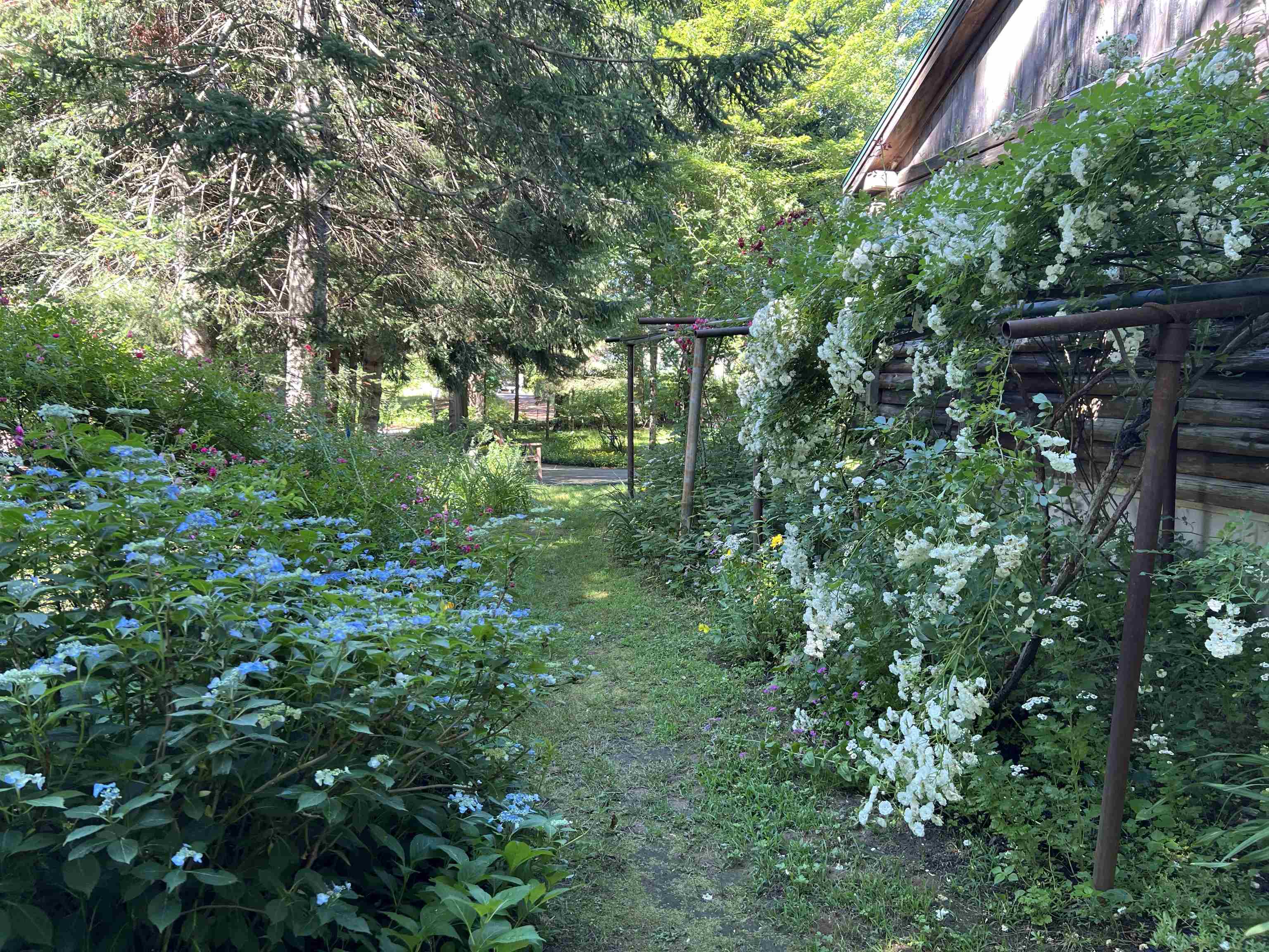 171 Crawley Falls Road