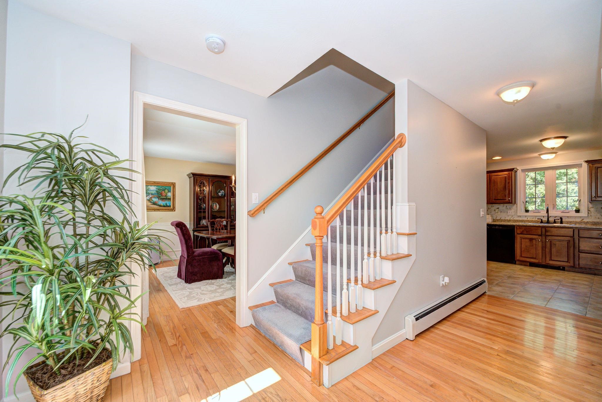7 Rellas Ridge