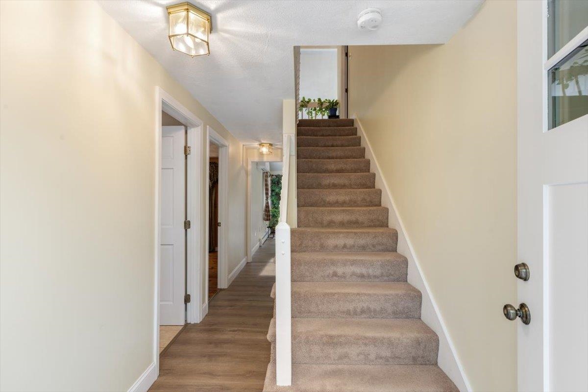 8 Homestead Drive