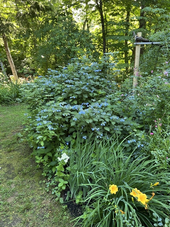 171 Crawley Falls Road