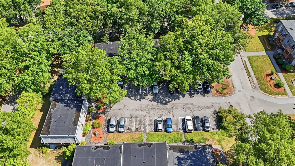 141 Thissell Ave # 4