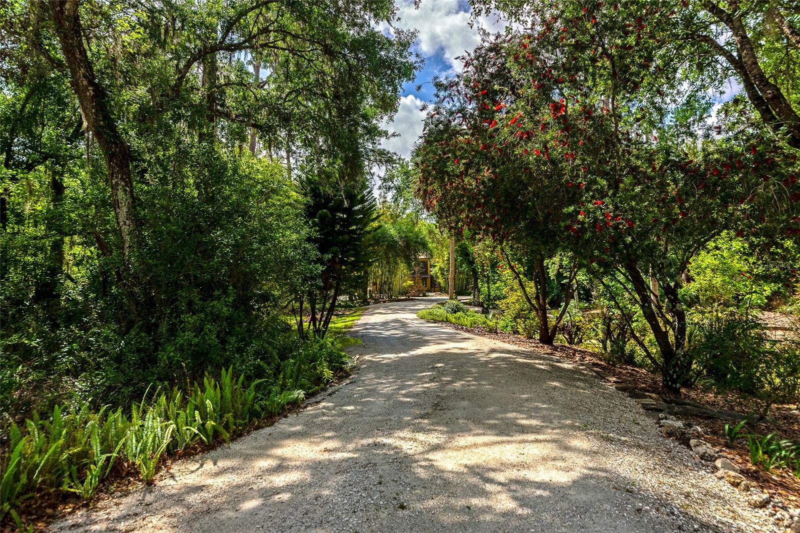 3110 TURKEY WALK LN