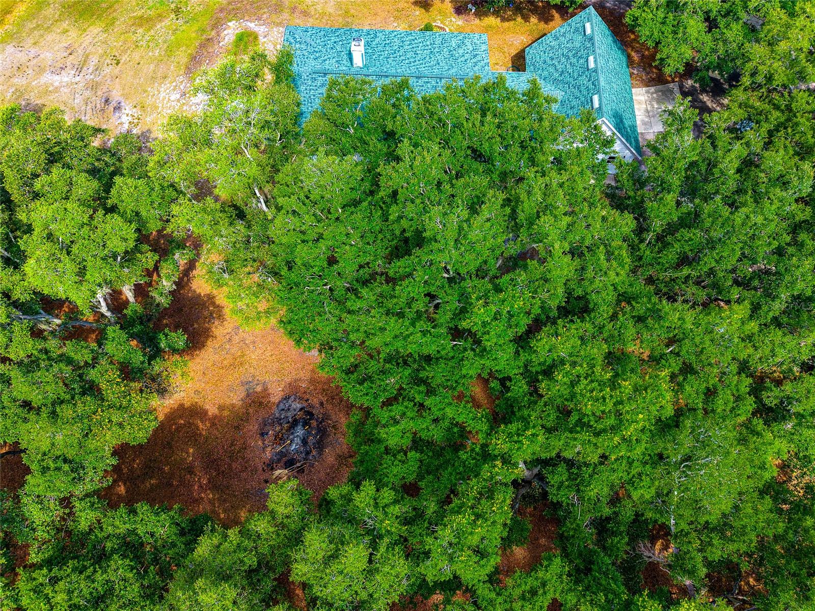14705 MOSSY HAMMOCK LN