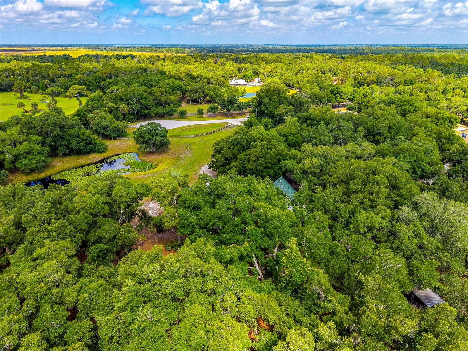 14705 MOSSY HAMMOCK LN