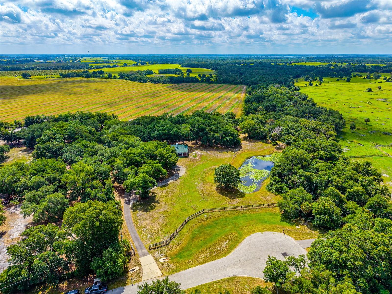 14705 MOSSY HAMMOCK LN