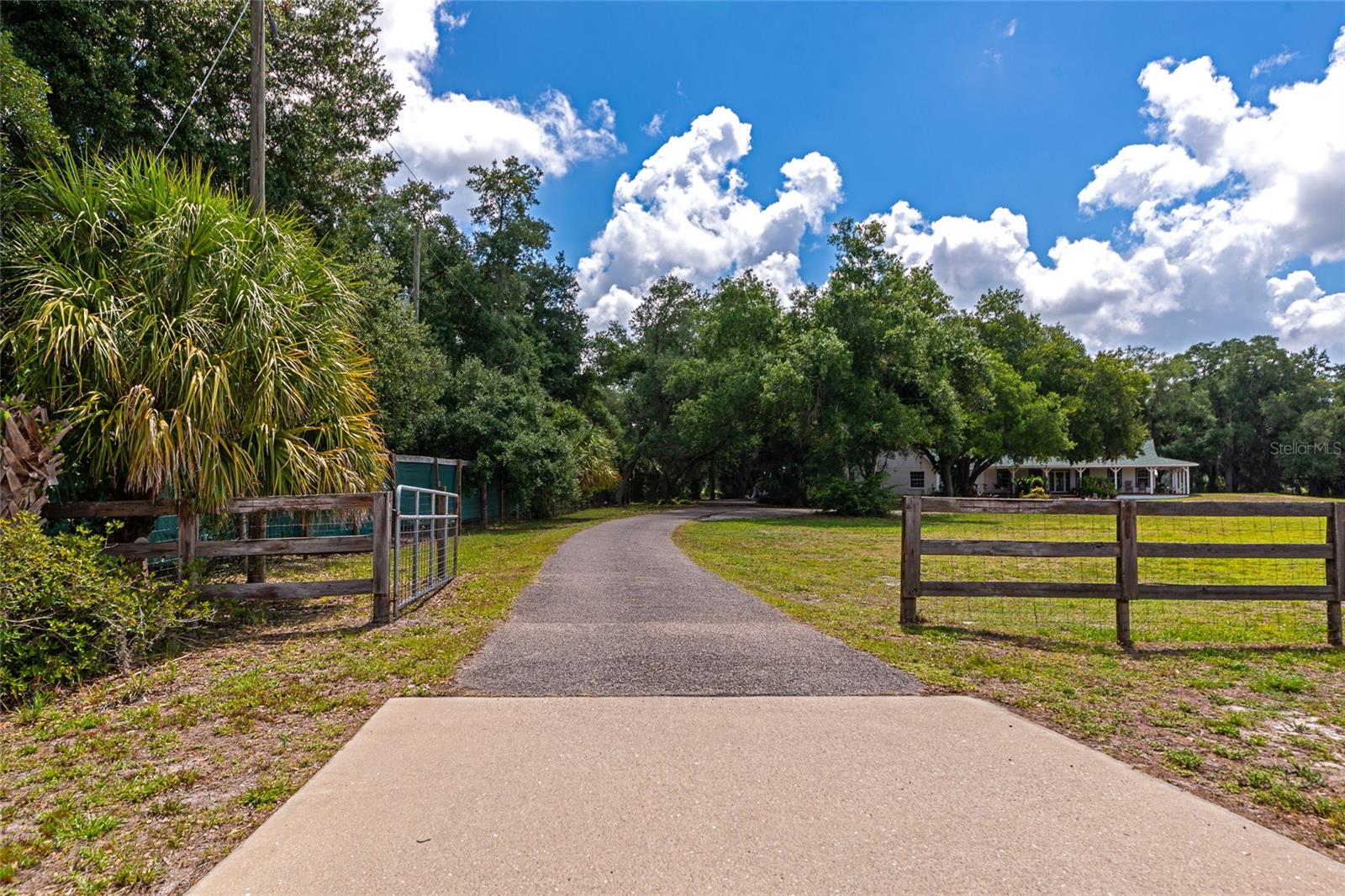 14705 MOSSY HAMMOCK LN