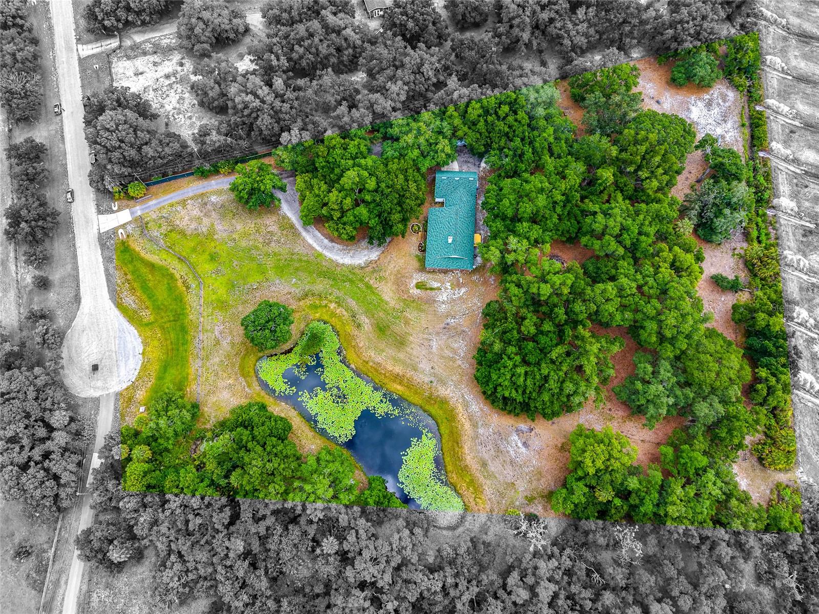 14705 MOSSY HAMMOCK LN