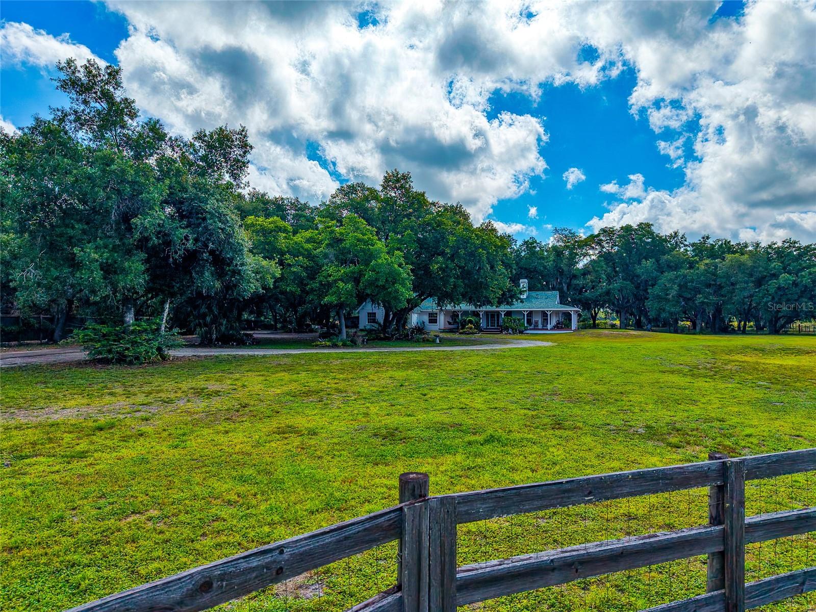 14705 MOSSY HAMMOCK LN
