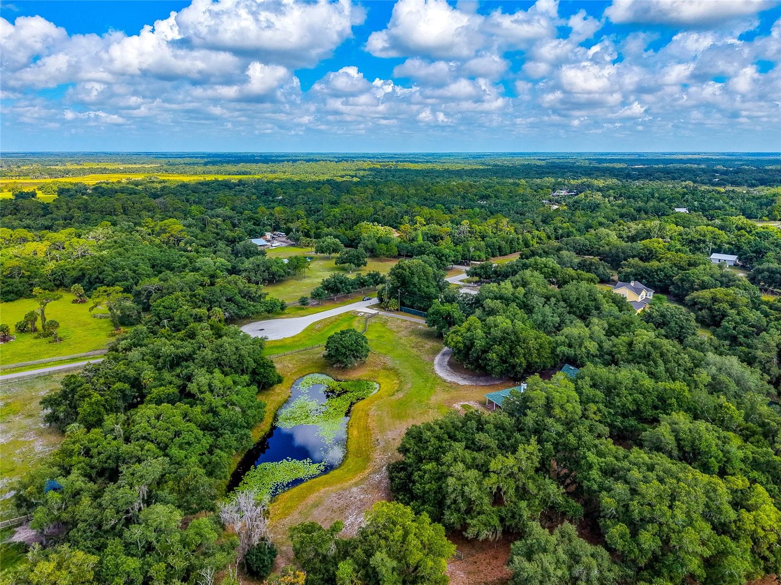 14705 MOSSY HAMMOCK LN