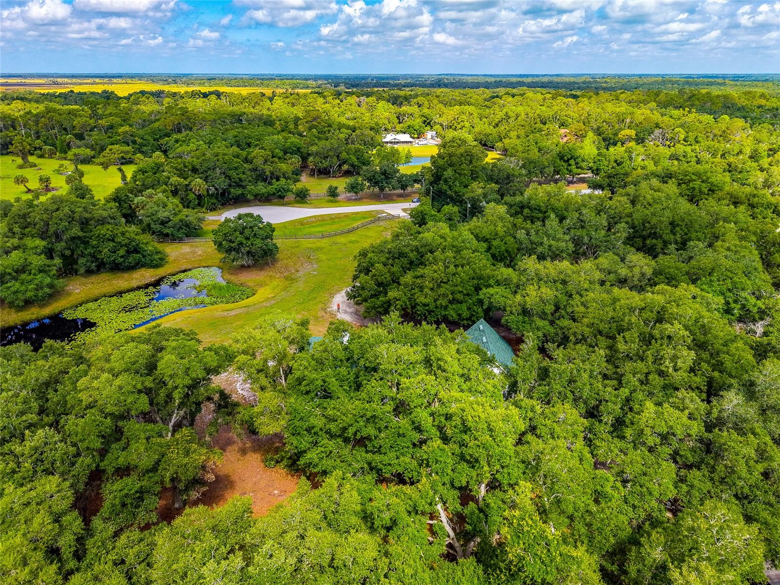 14705 MOSSY HAMMOCK LN