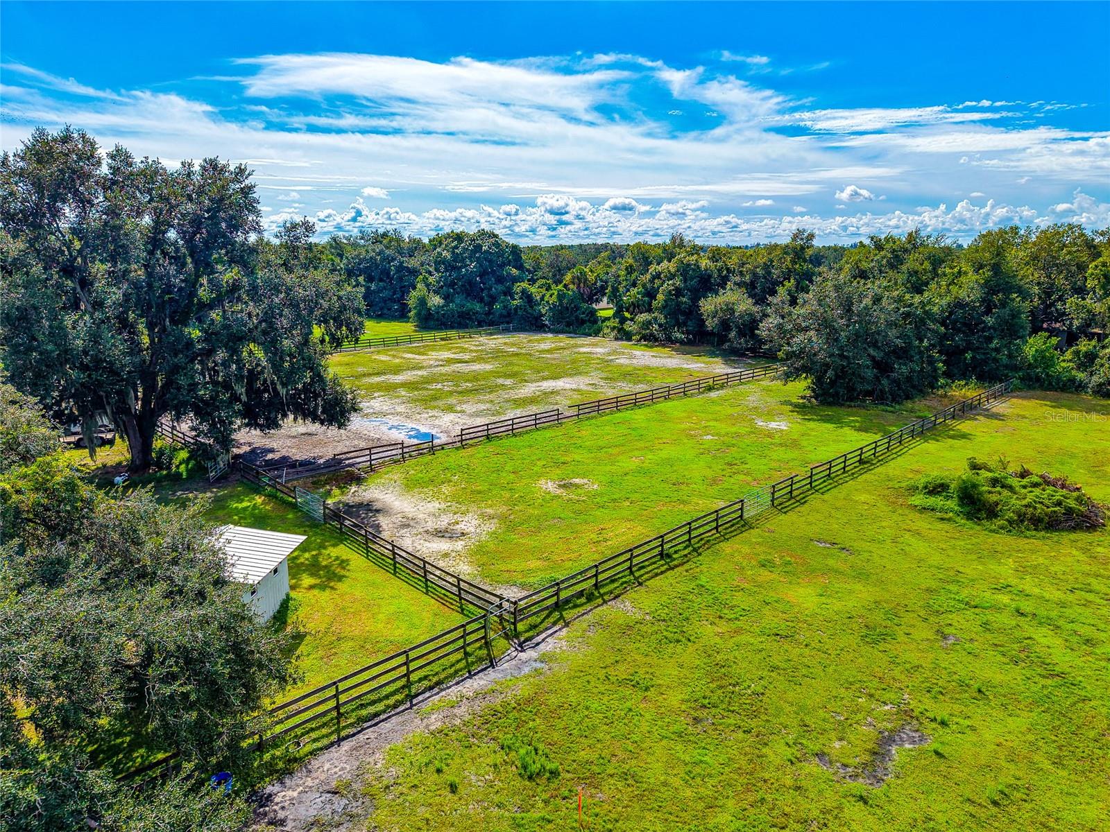 Aerial view of fenced grassy paddocks bordered by mature trees, with a small outbuilding.
