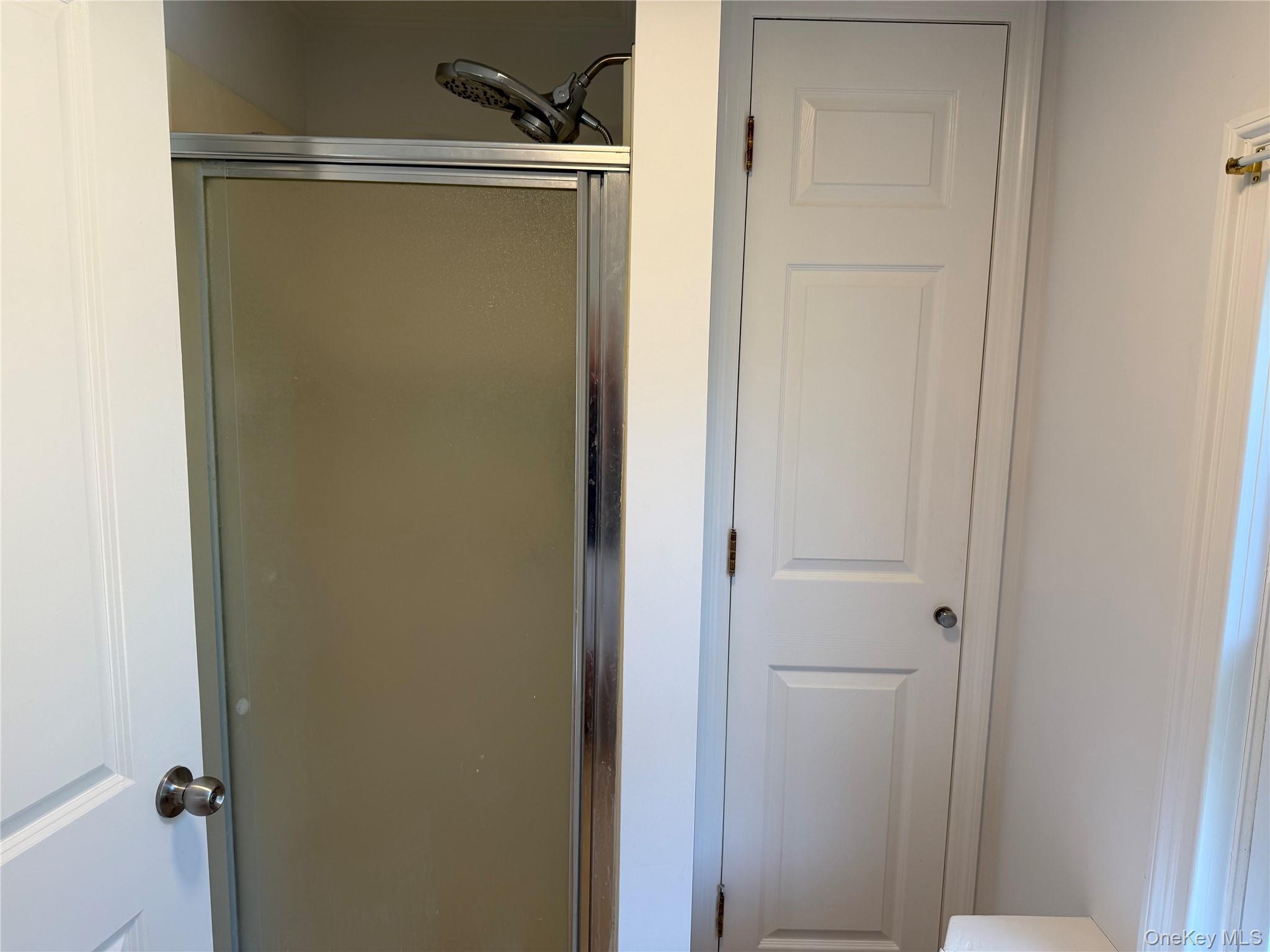 40 Amity Street Unit: Upper