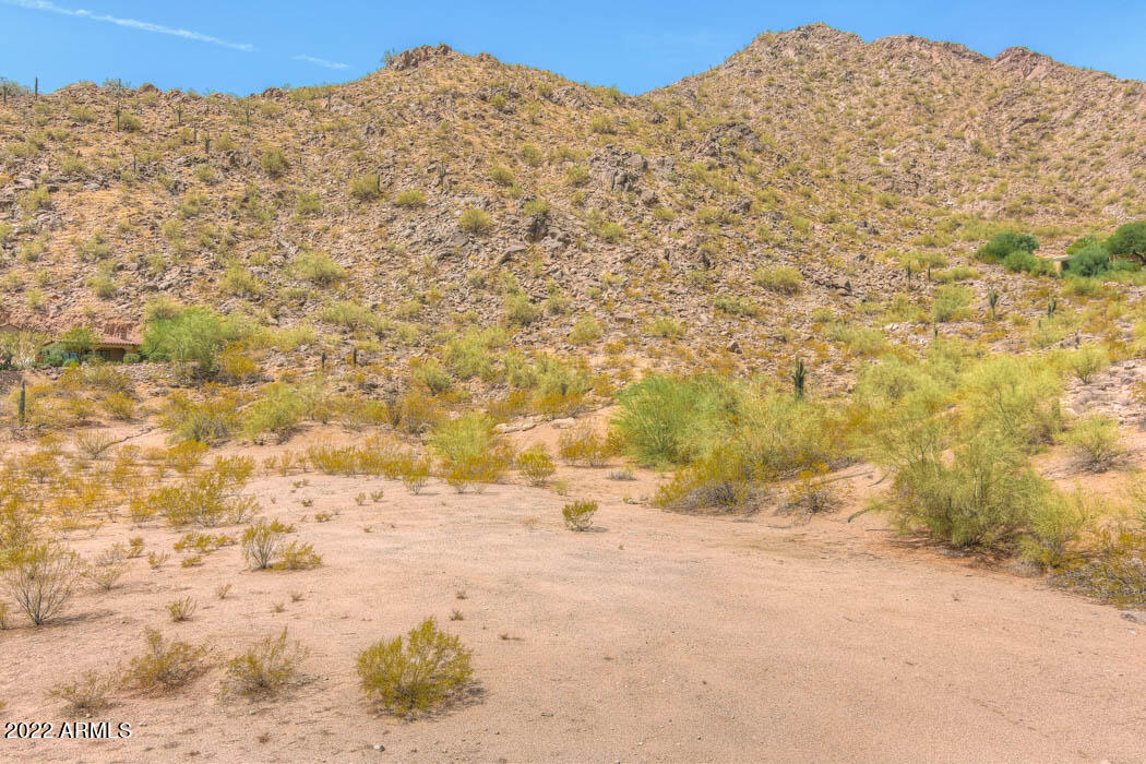 5630 N CAMELDALE Way, 31