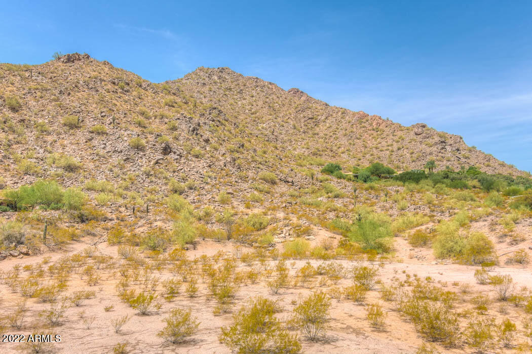 5630 N CAMELDALE Way, 31