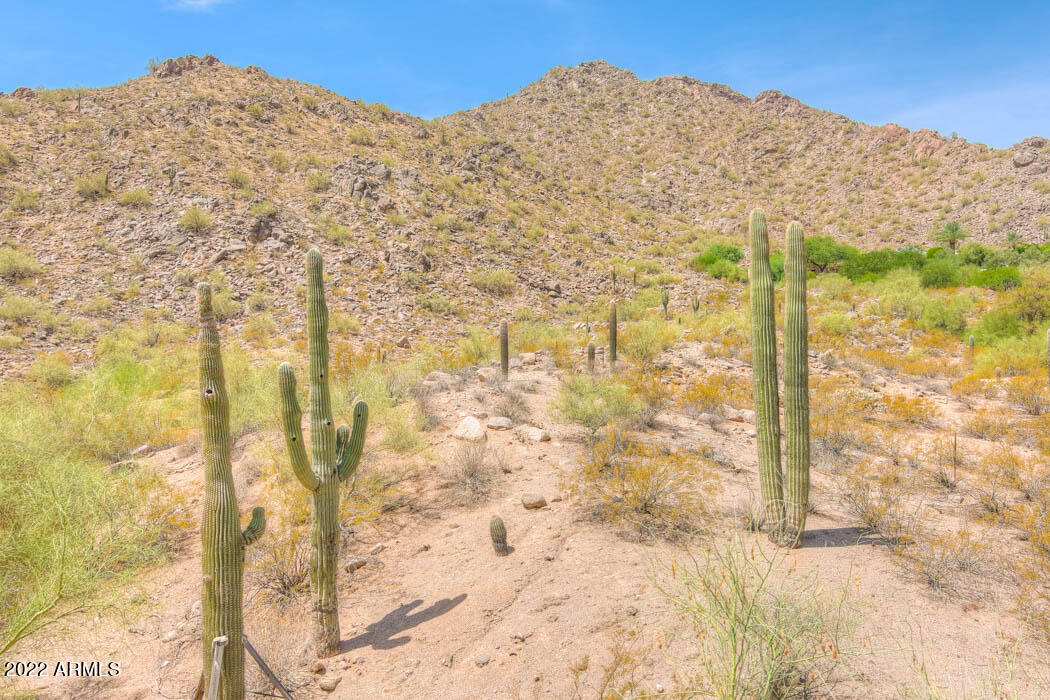 5630 N CAMELDALE Way, 31