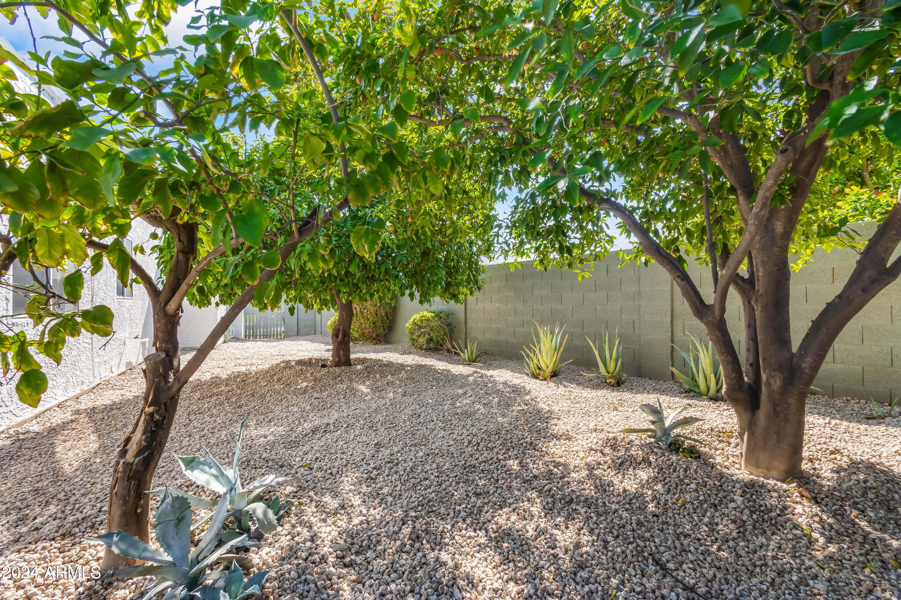 7328 E LAREDO Lane