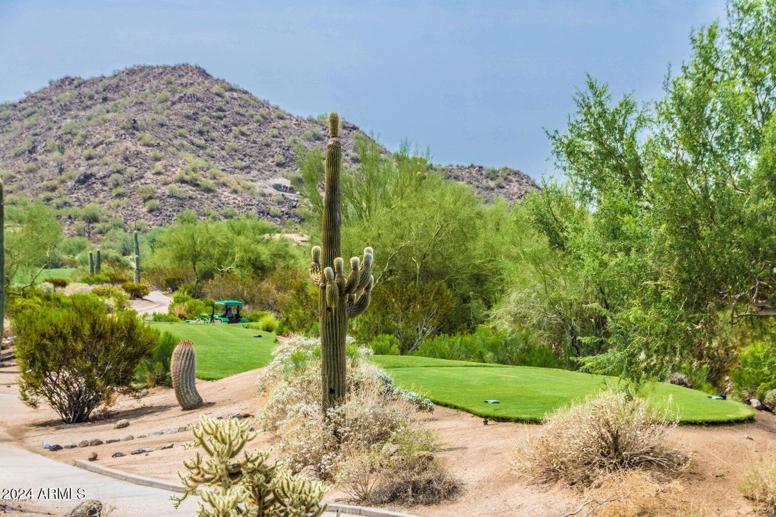 2917 N Avoca Circle
