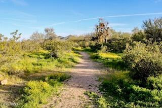 2227 W CALLE DEL SOL