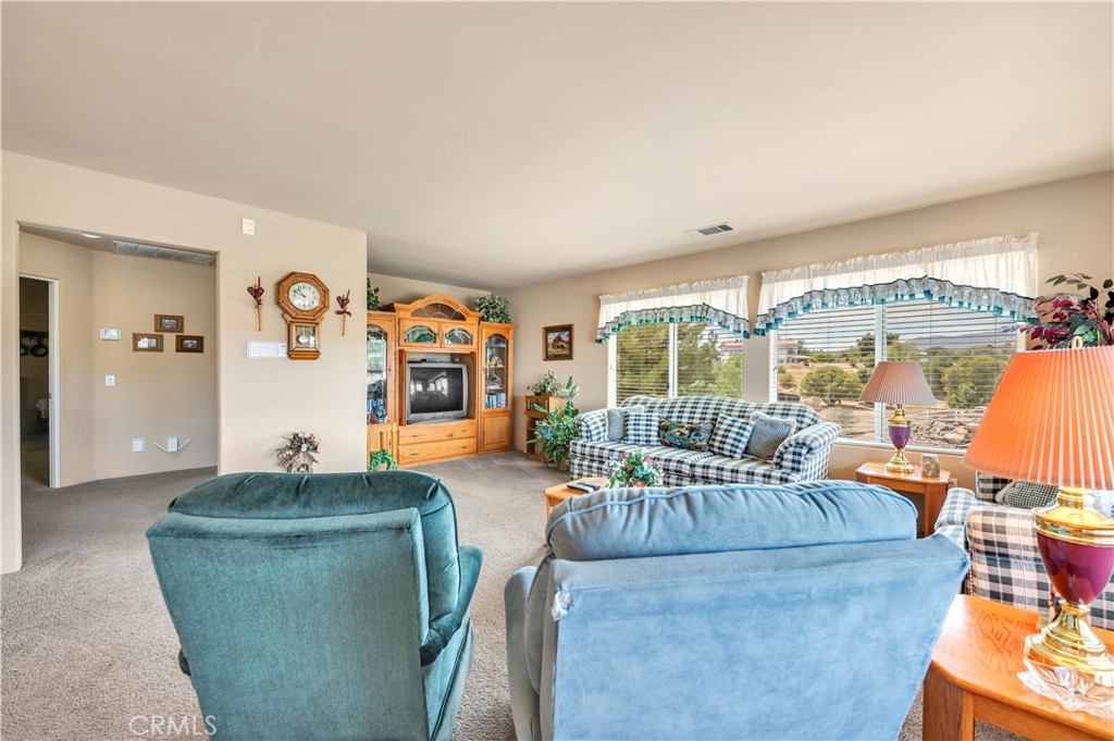 21410 Avenida De Arboles