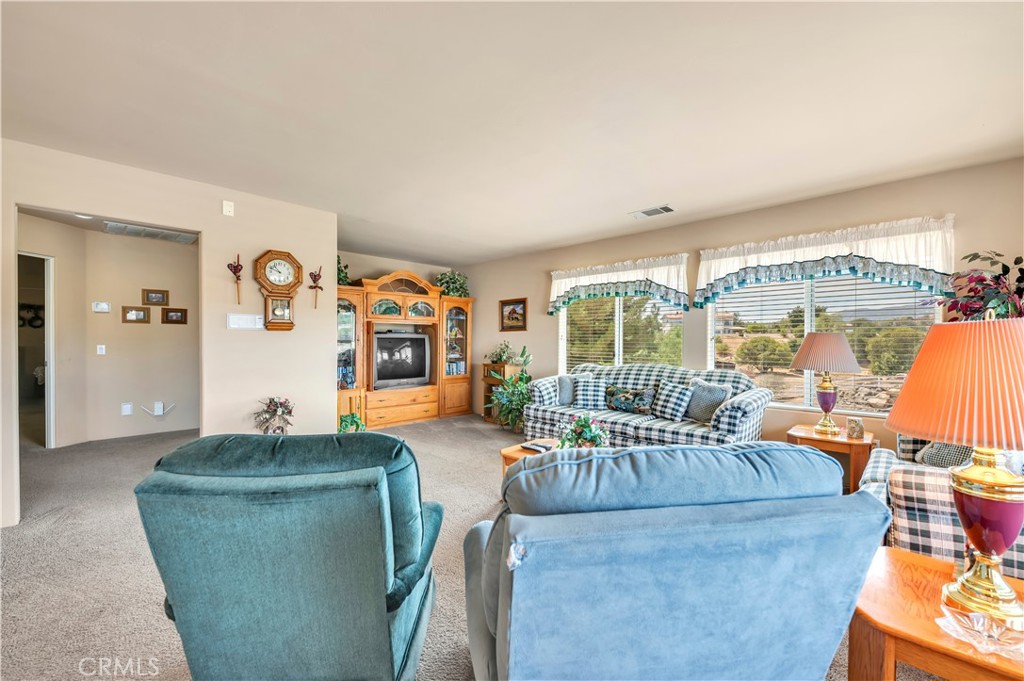 21410 Avenida De Arboles