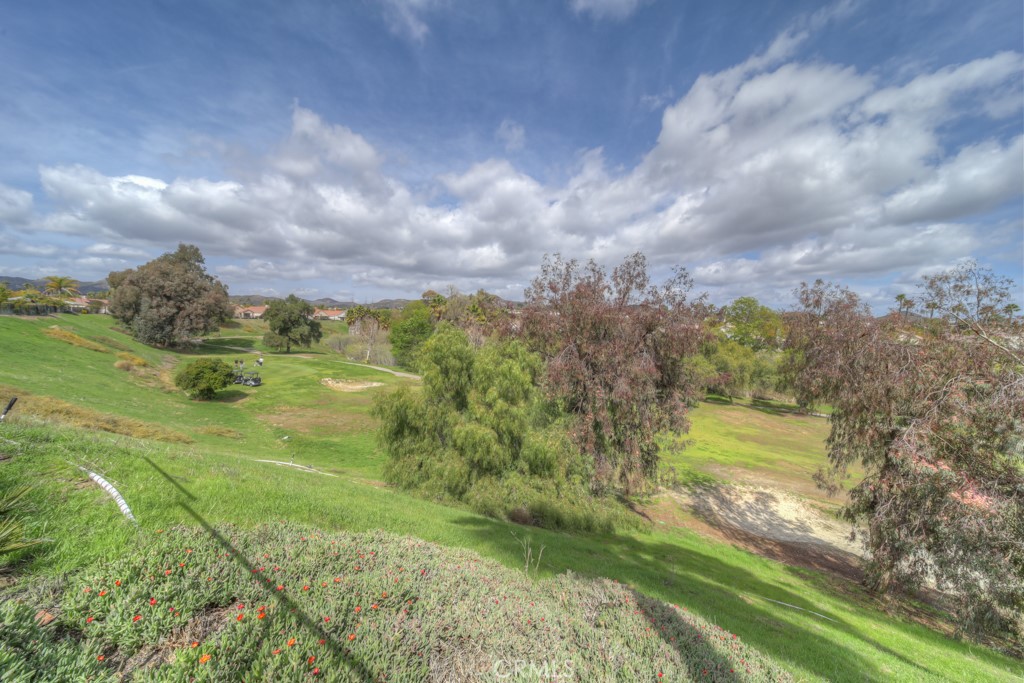40142 Colony Drive