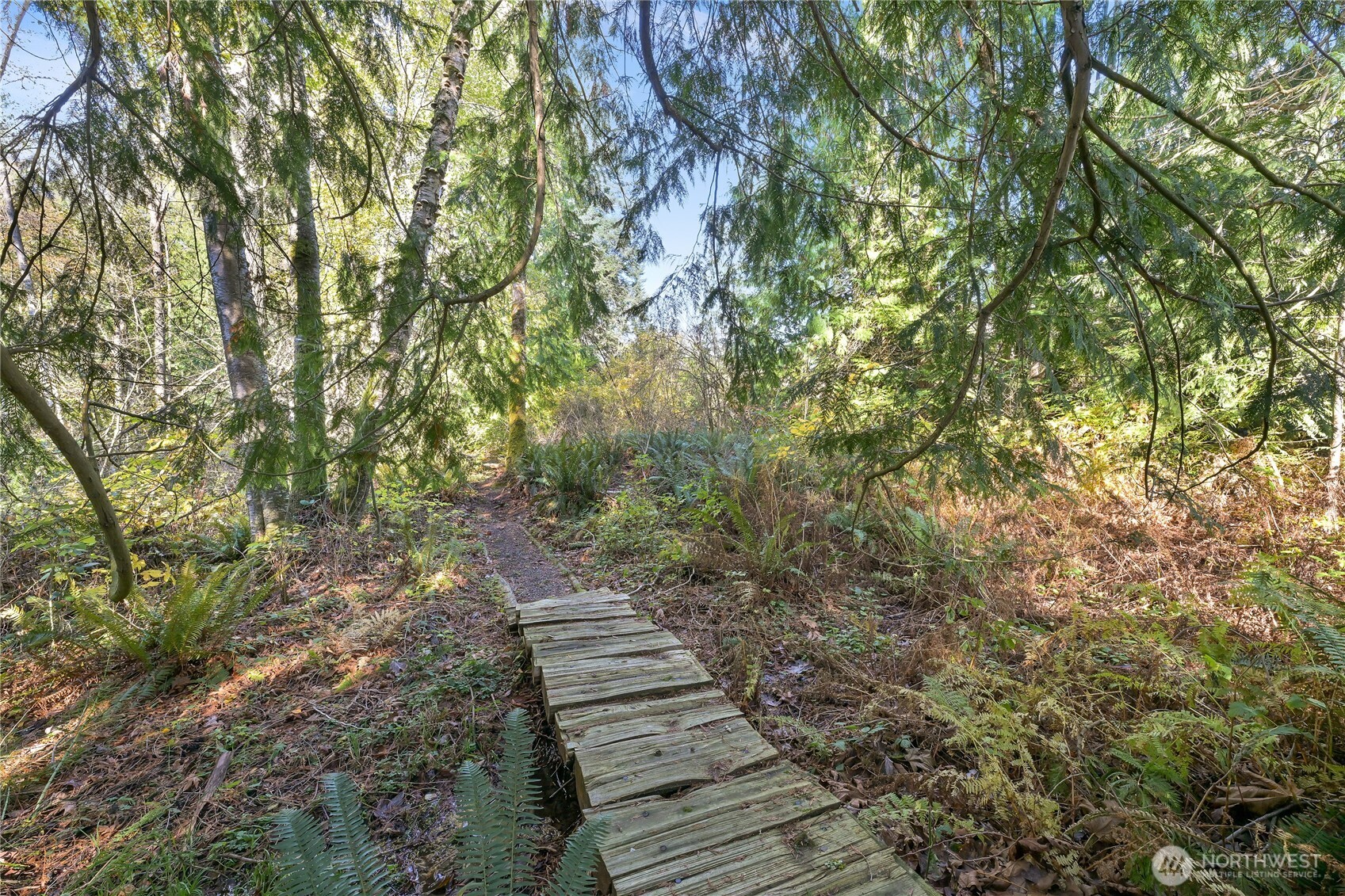 2724 Willow Lane