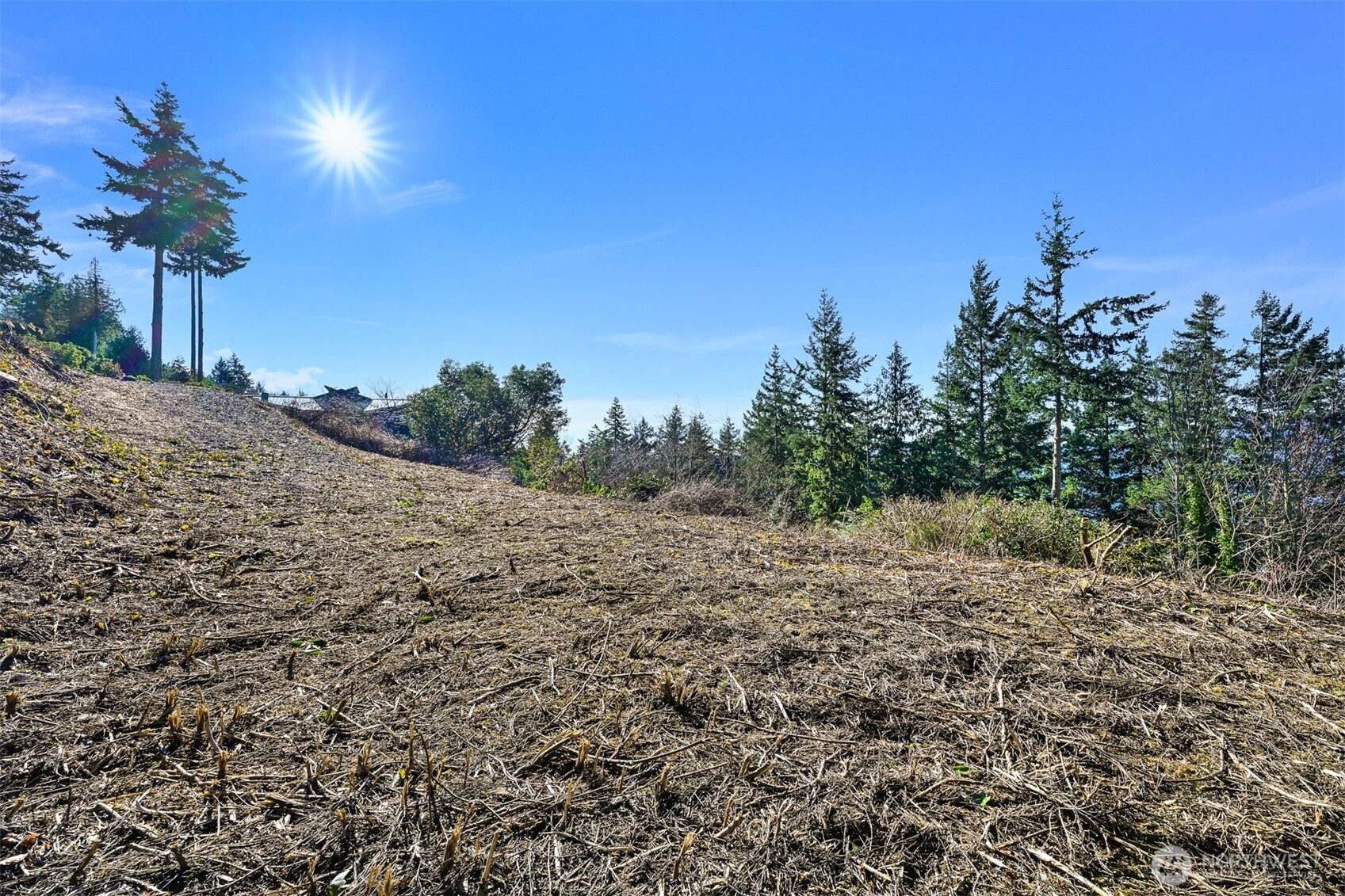 1185 Brighton Crest Drive