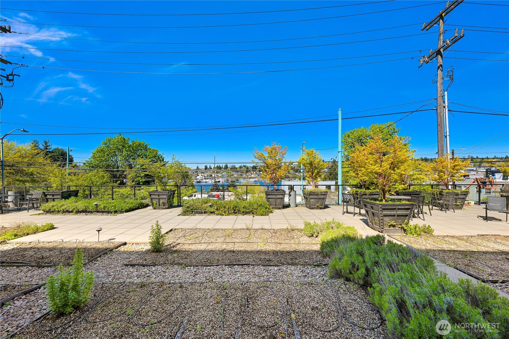 2960 Eastlake Avenue E Unit: 307