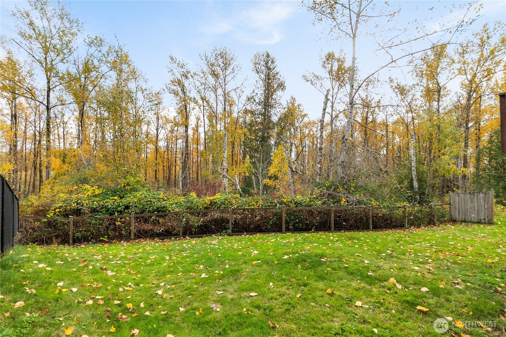 1414 Fruitland Dr
