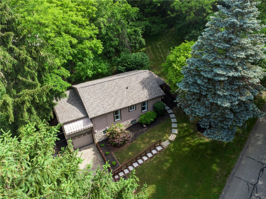 7 Sylvia Ln
