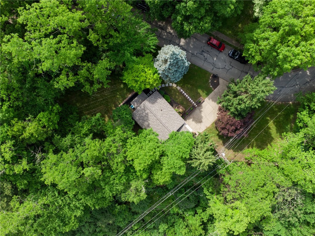 7 Sylvia Ln