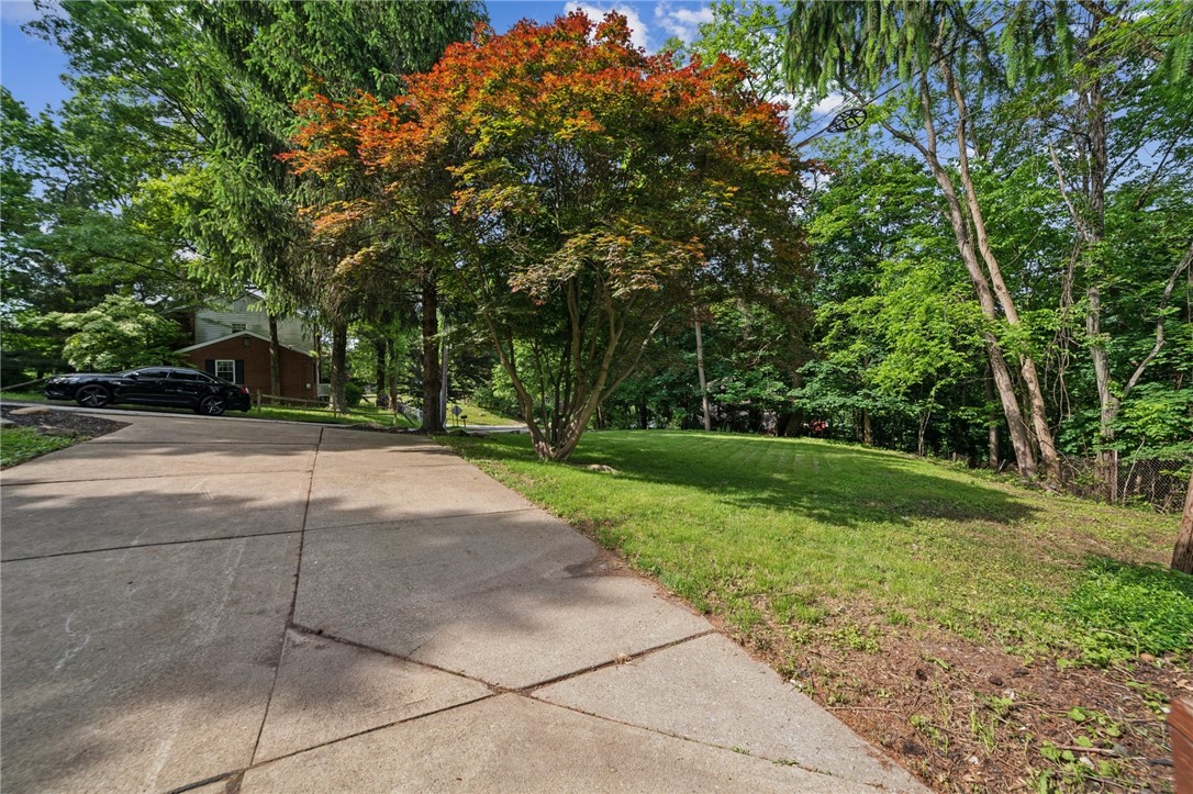 7 Sylvia Ln
