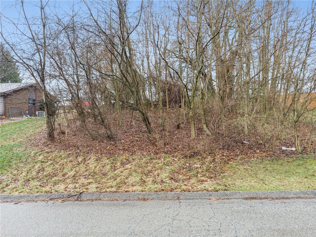 1810 Naser Rd
