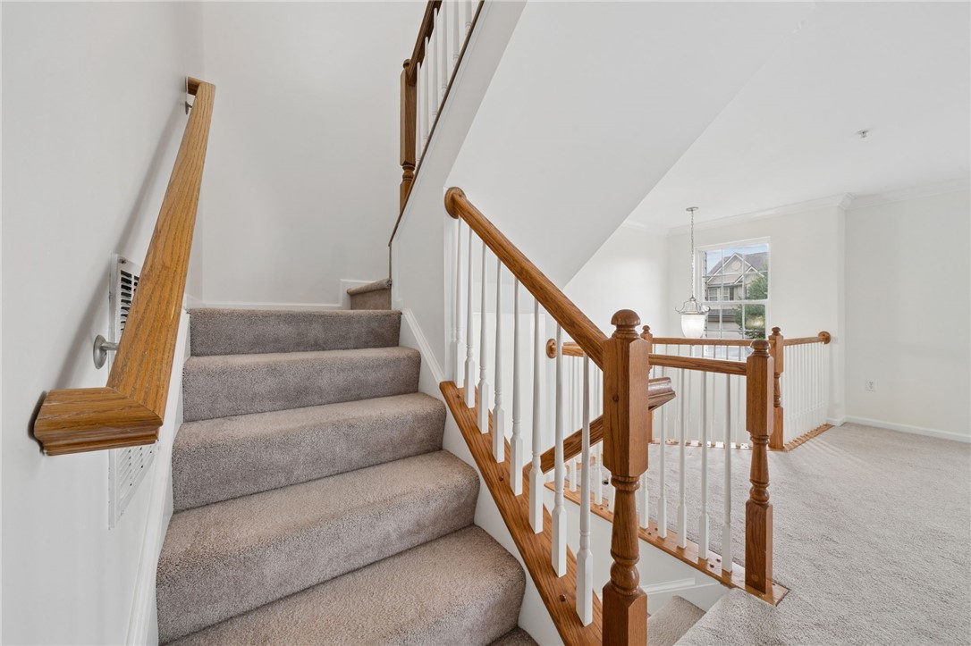 131 Bellefield Ct