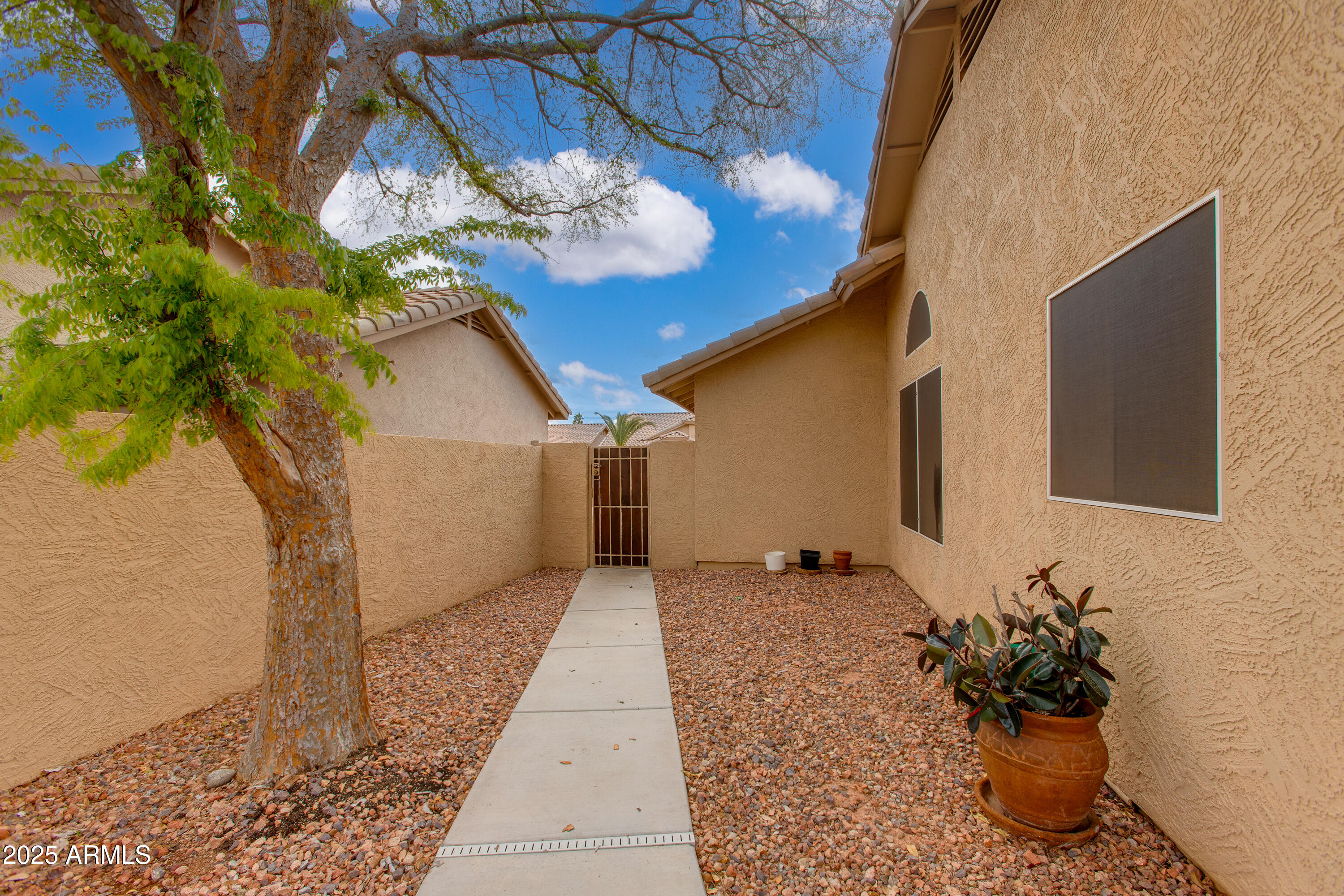 Enclosed gravel courtyard with a concrete walkway, mature tree, and metal gate.