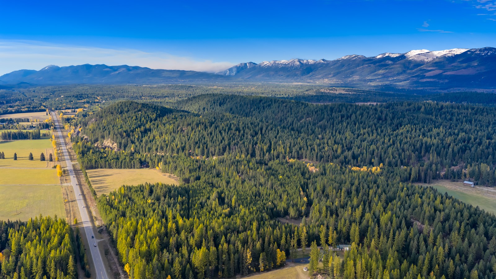 340 Tamarack Creek Road