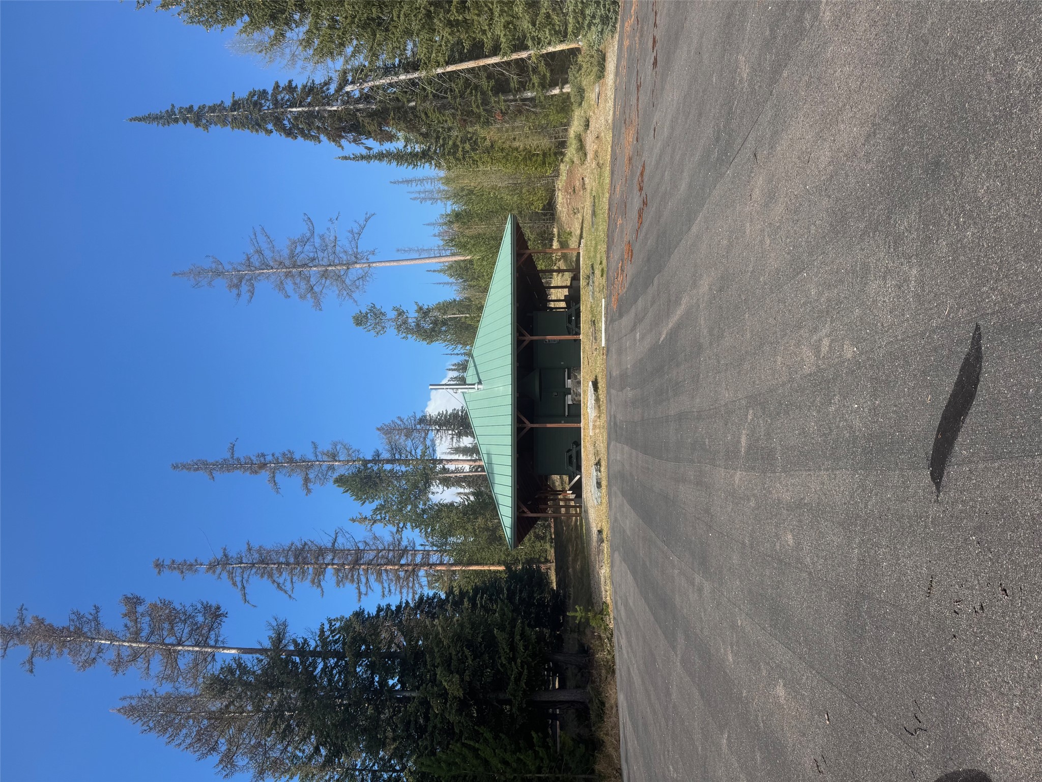 Covered pavilion with a green roof and picnic tables among tall evergreen trees, beyond a paved parking area.