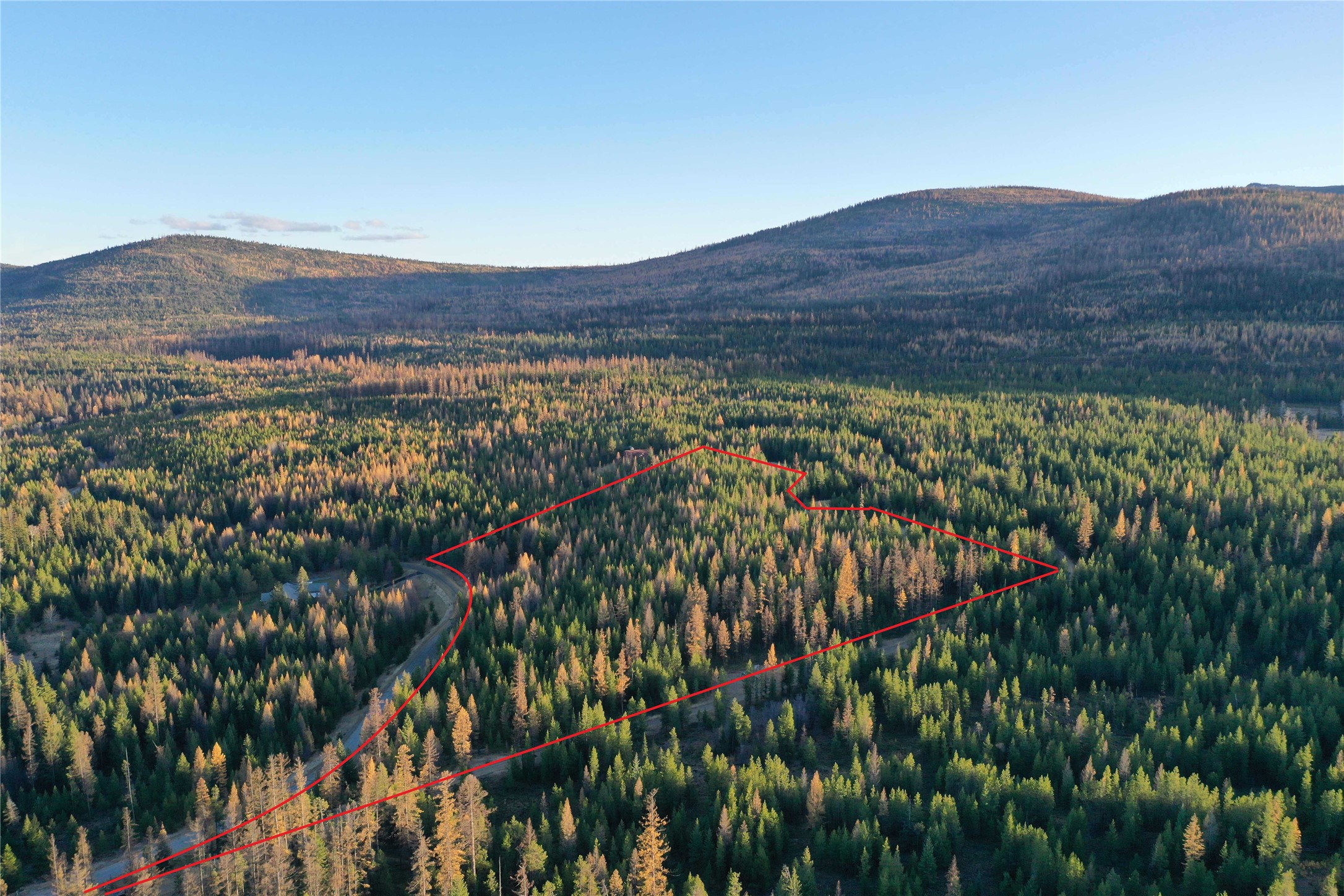 Aerial view of a wooded property outlined in red, with a mountain ridge beyond.