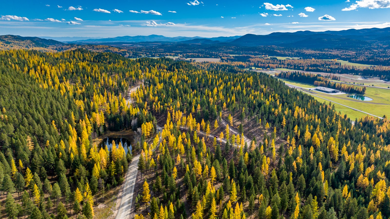 1143 Whitefish Ridge Road