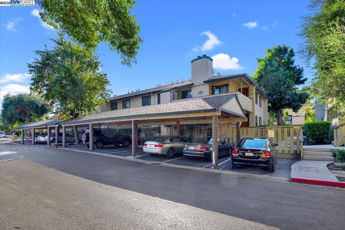 1439 Alma Loop