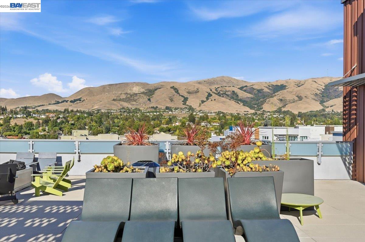 45128 Warm Springs Blvd # 455
