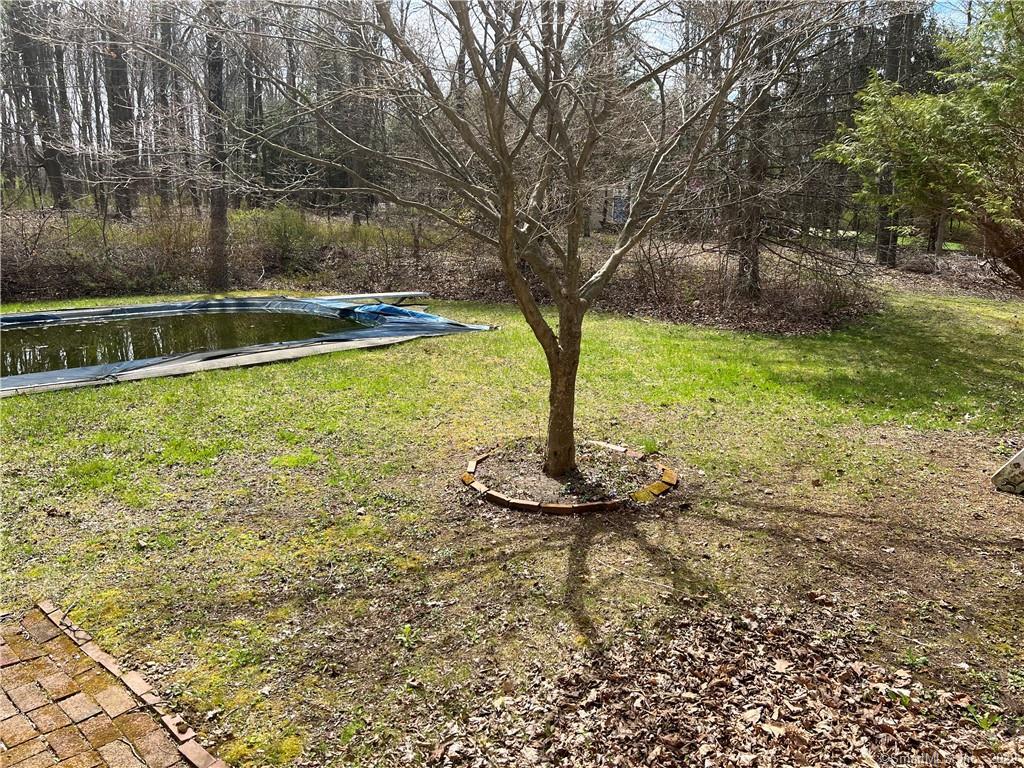17 Saddle Ridge
