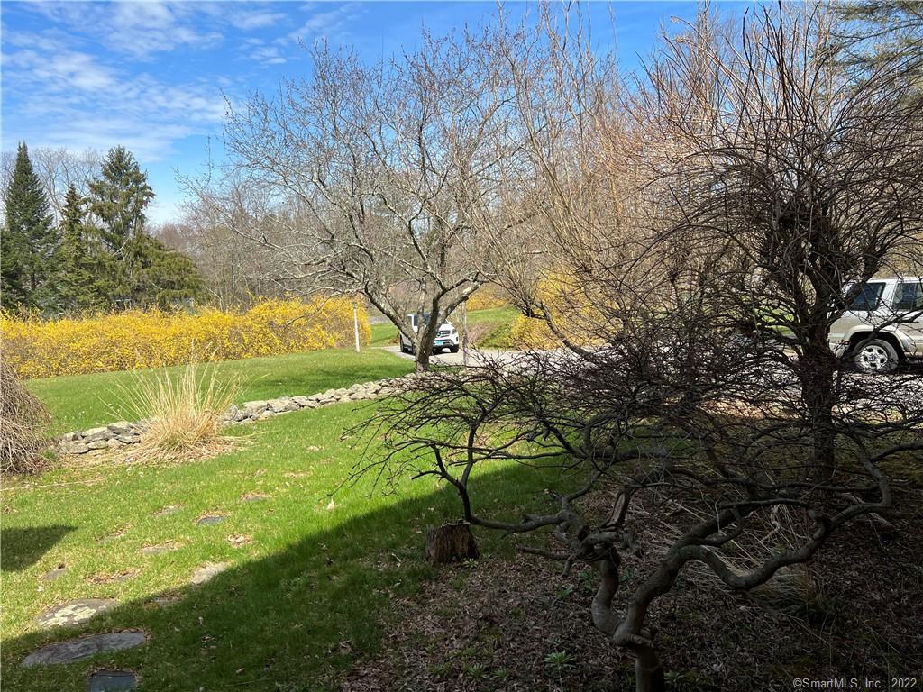 17 Saddle Ridge