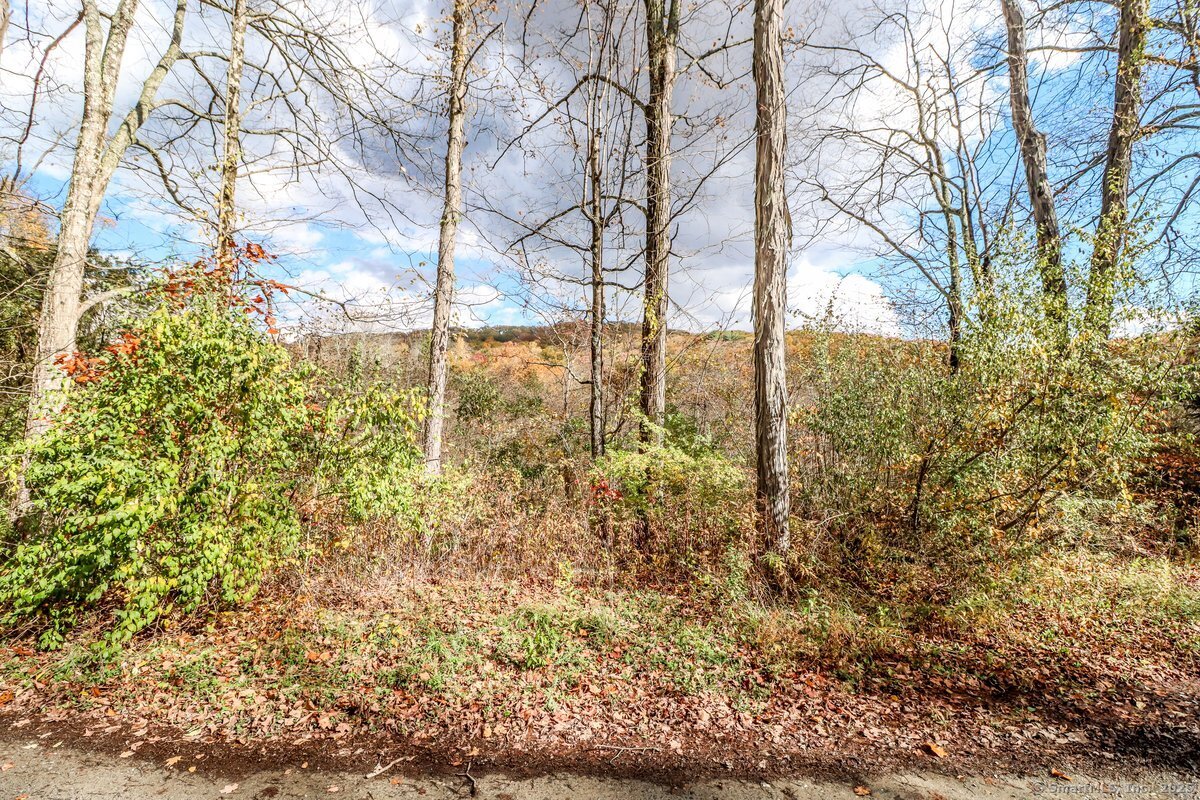 0 Saw Mill Road