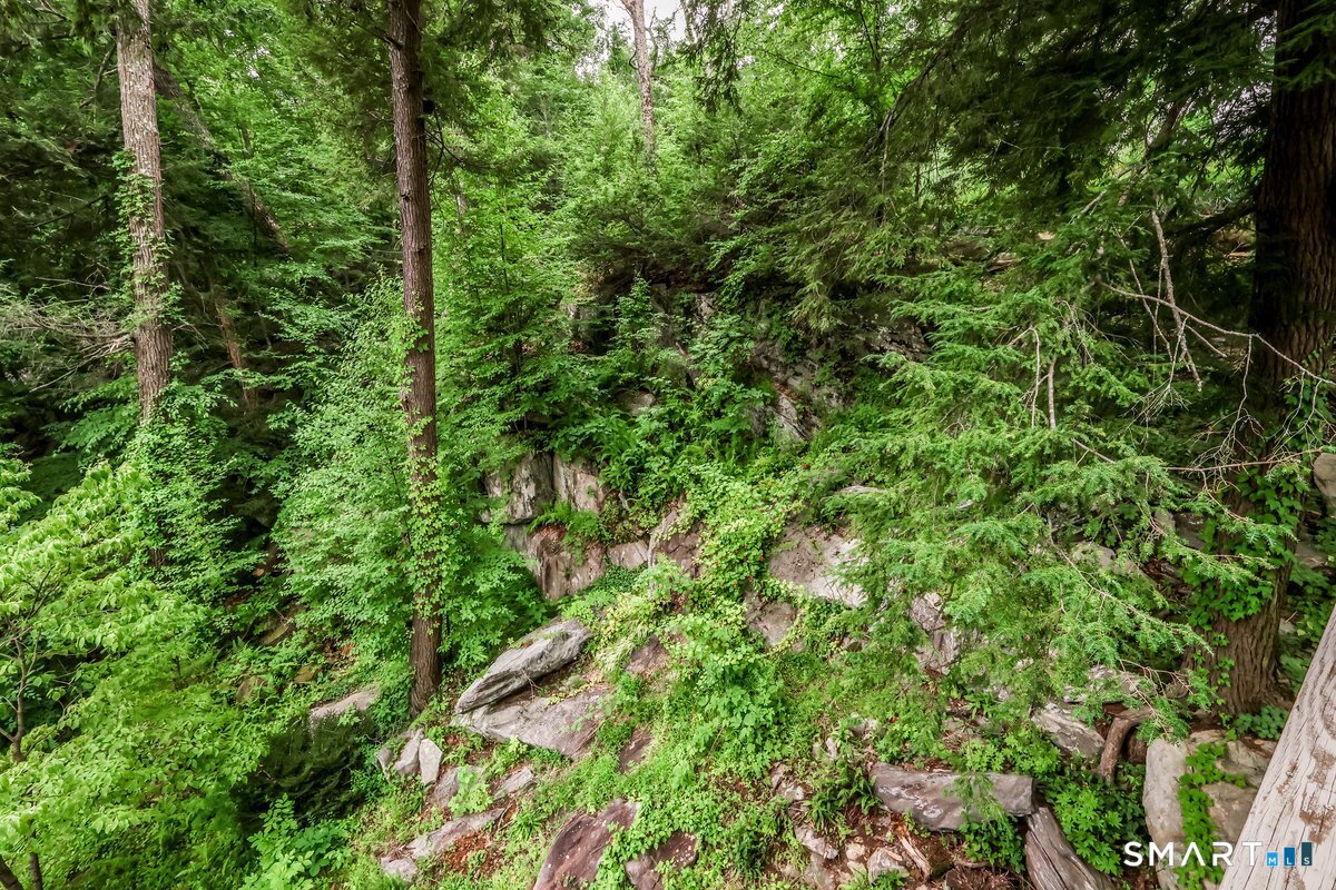 153 Green Pond Road
