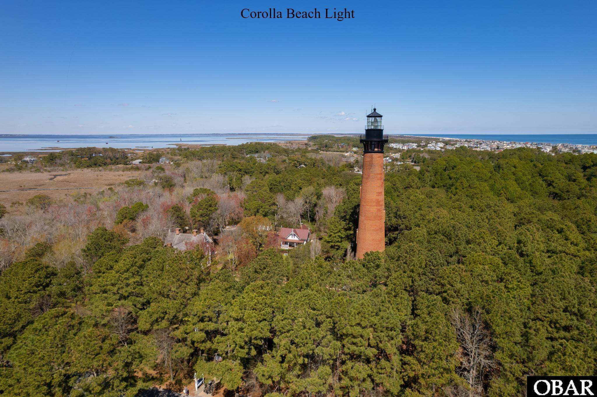 Brick lighthouse above coastal forest, with marshland and ocean in the distance.