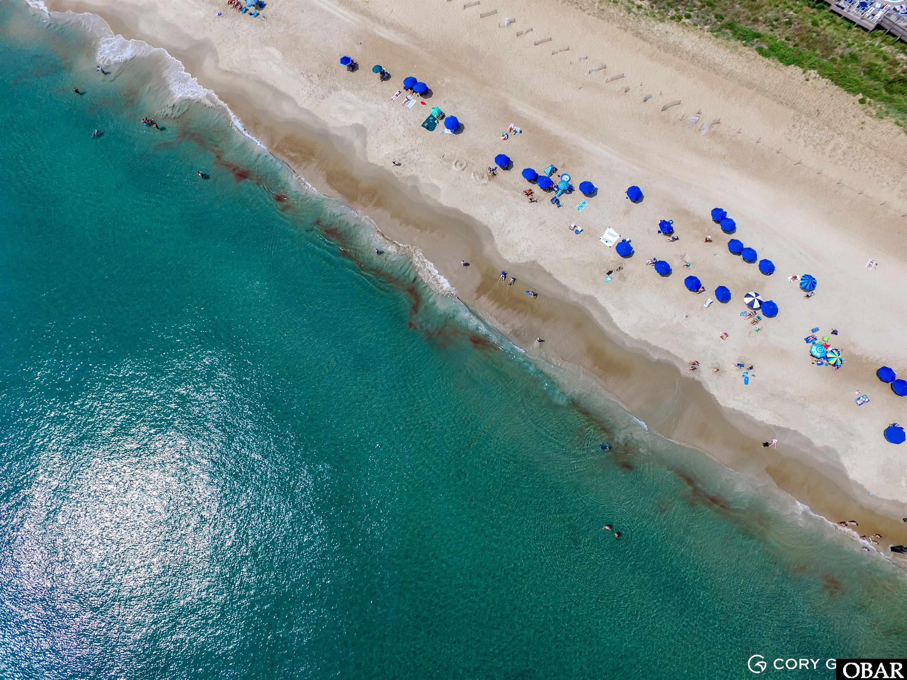 Aerial view of a sandy beach with blue umbrellas lining the turquoise shoreline.
