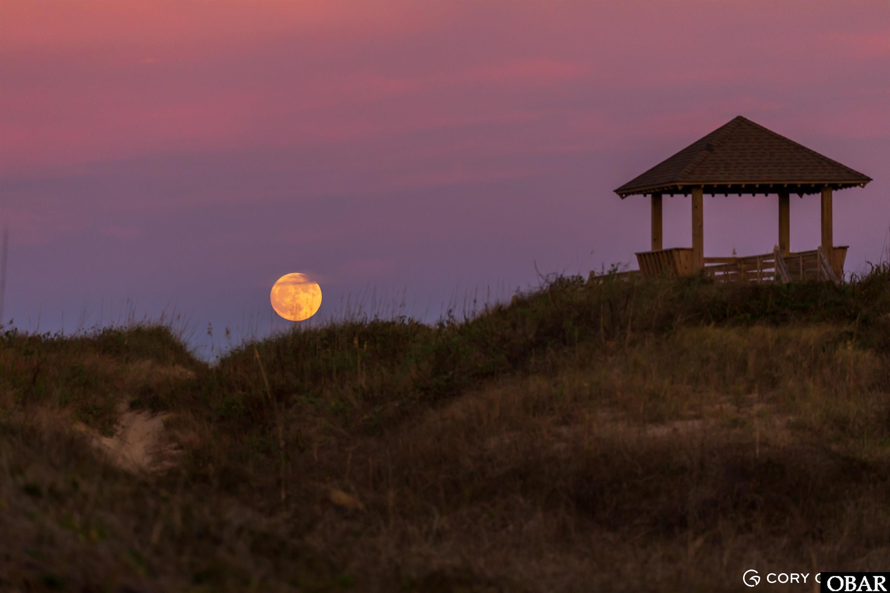 Wooden pavilion on grassy dunes beneath a glowing full moon at dusk.